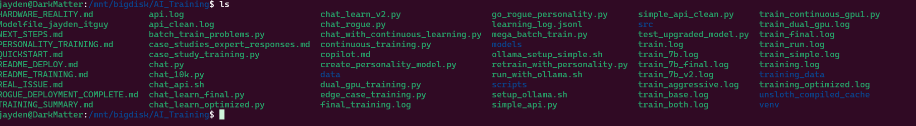 Local Ai Training